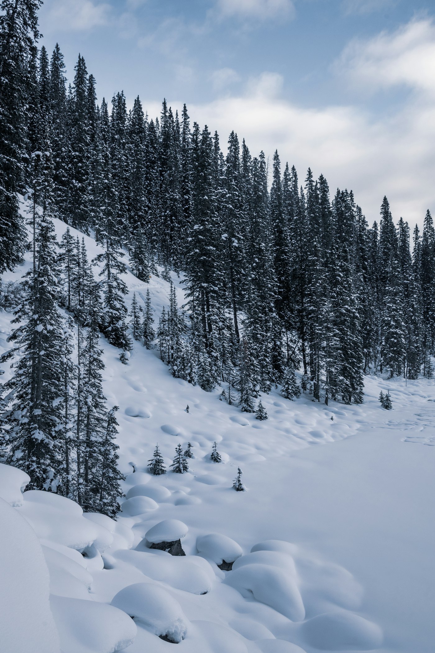 Northern Manitoba winter landscape